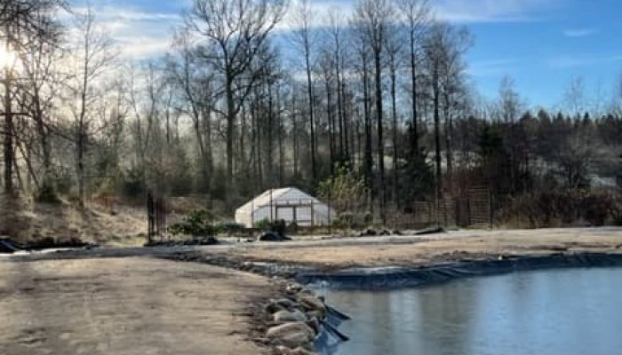 Dammen och stensatt dike