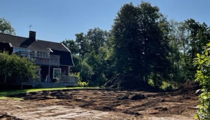 Naturdamm grävning 2